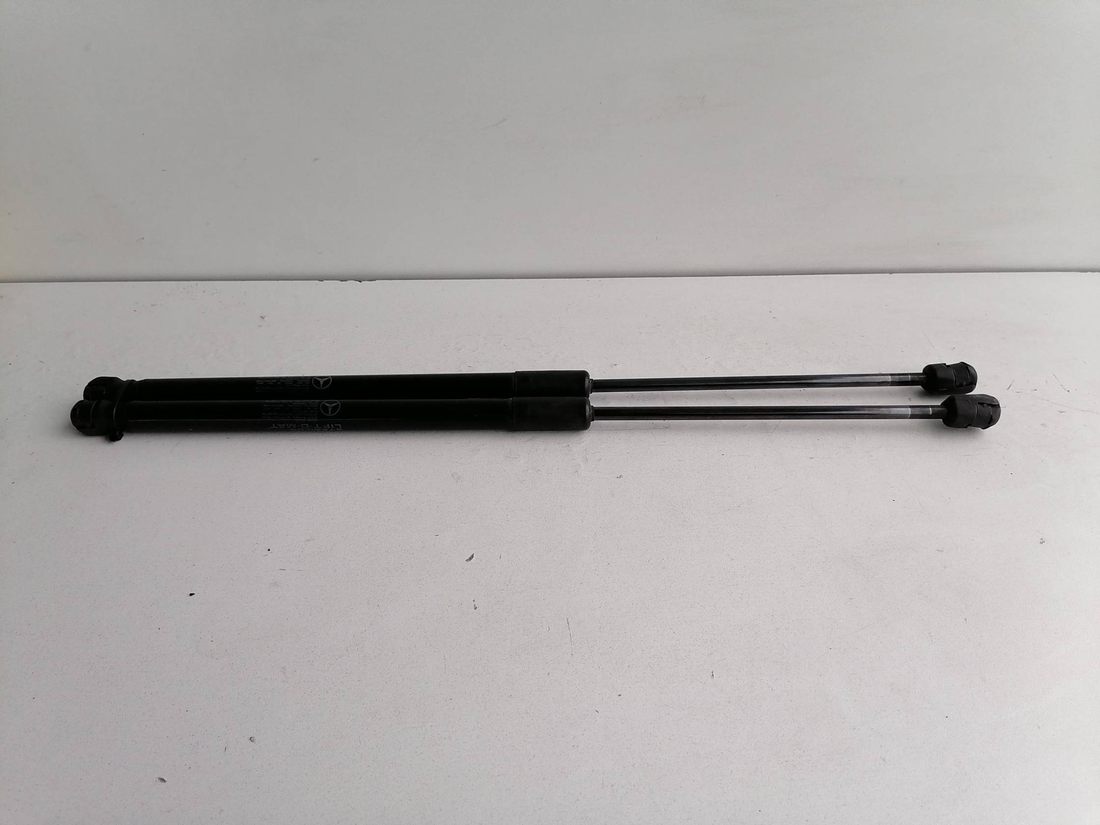 Asta ammortizzante portello post. sx.